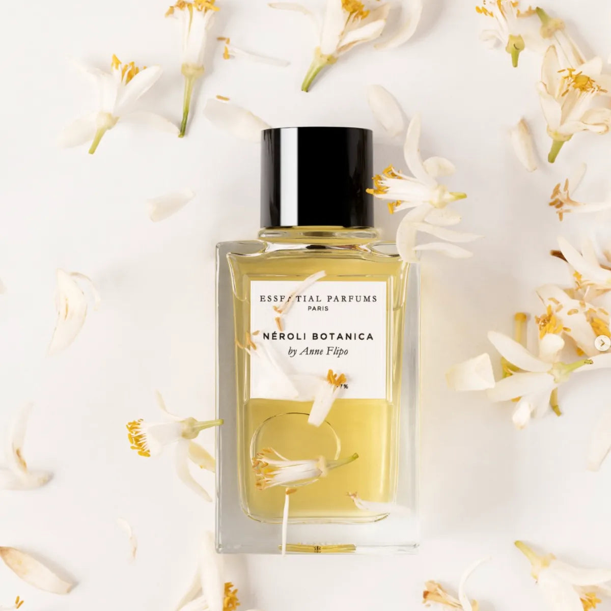 Néroli Botanica by Anne Flipo
