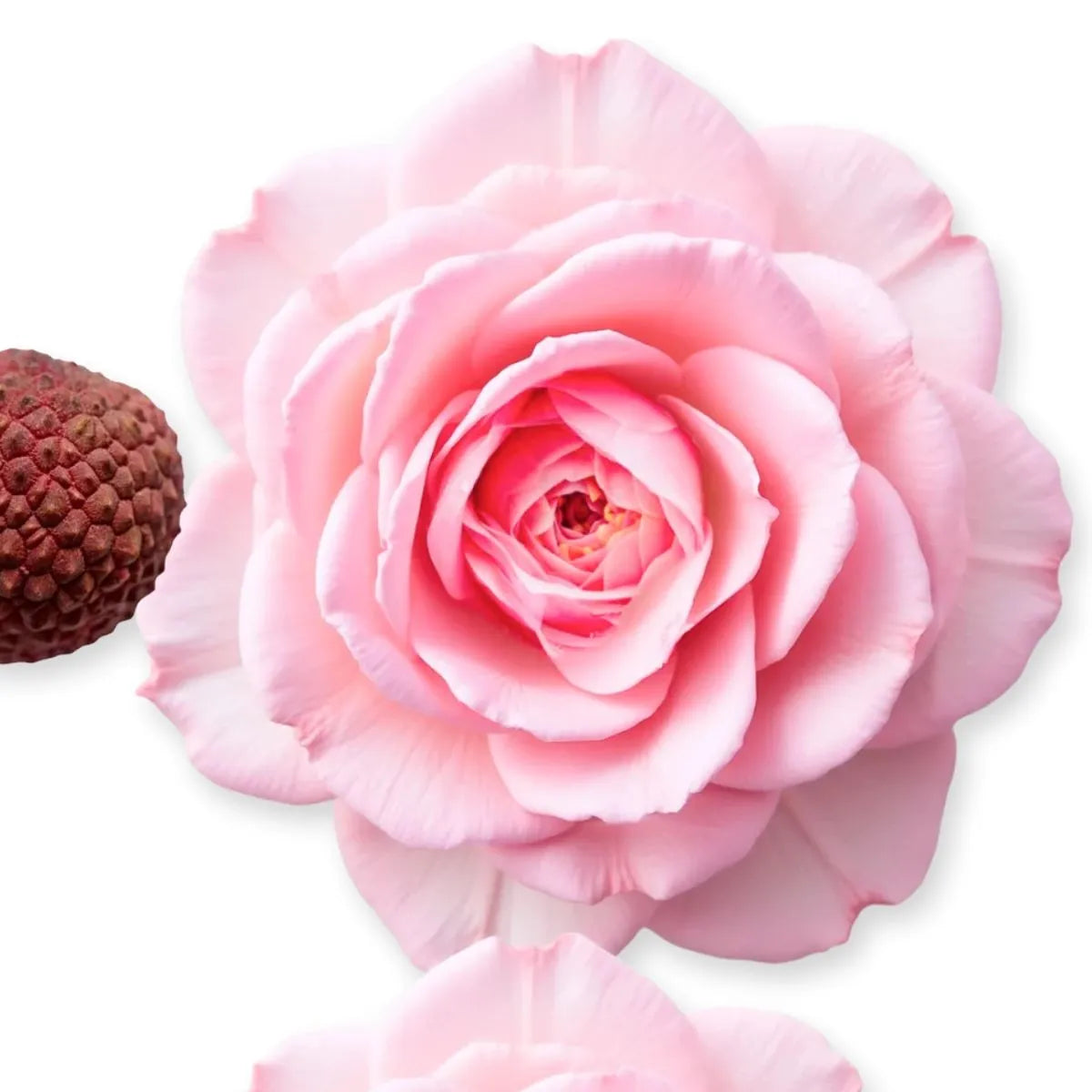 Delina Hair Perfume