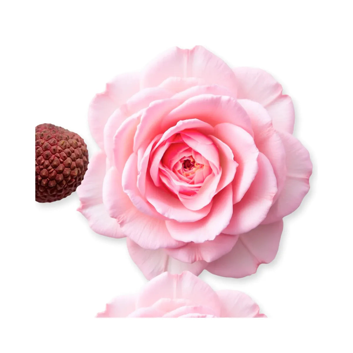 Delina La Rosée Spray