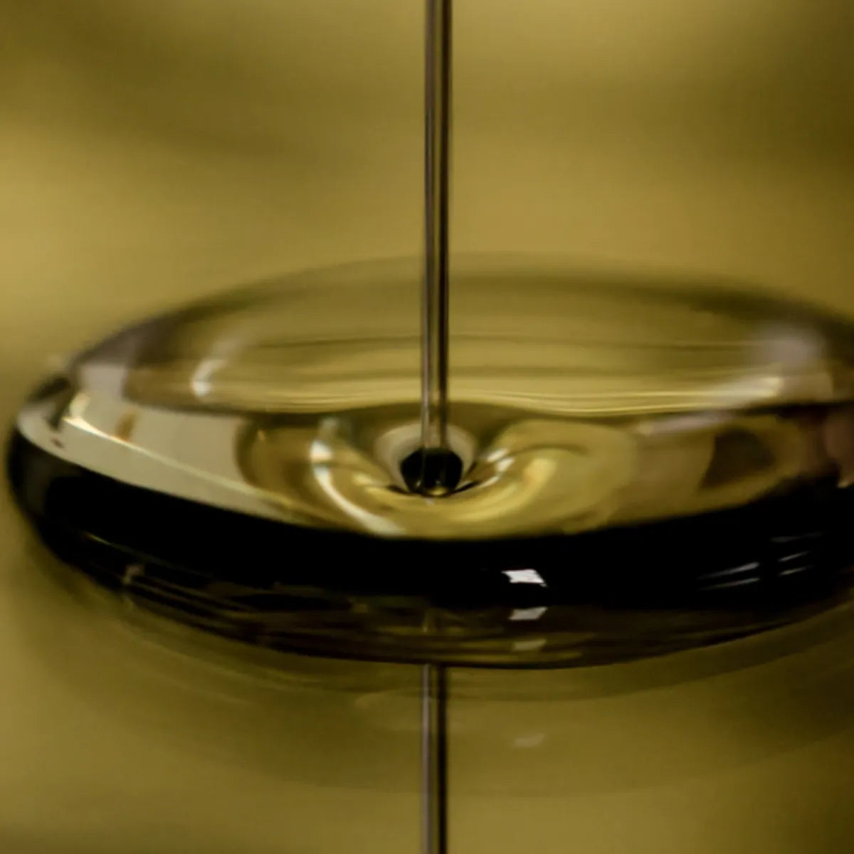 Golden Hour - Olio viso