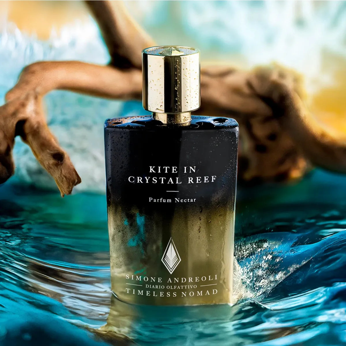 KiteinCrystalReef_2