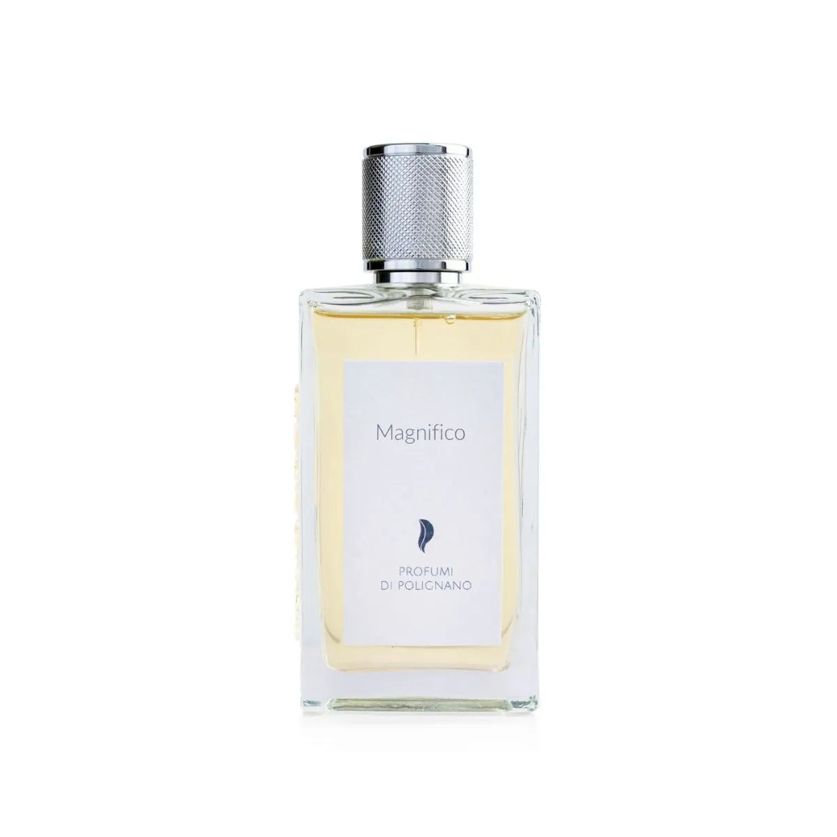 Magnifico