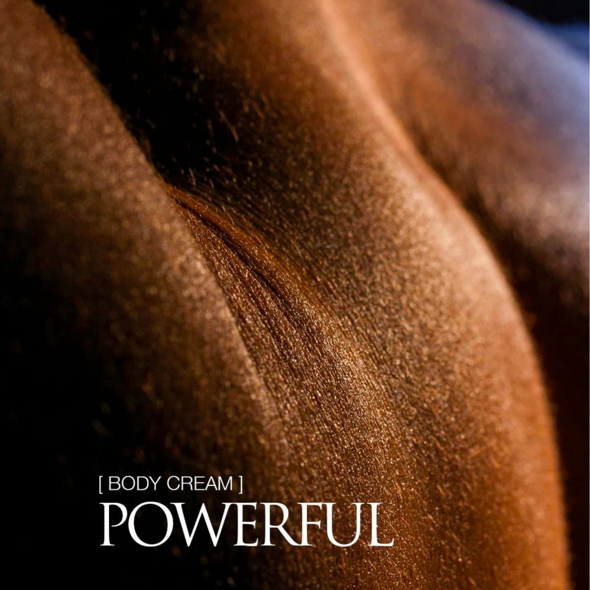 Oud For Greatness Crema Corpo
