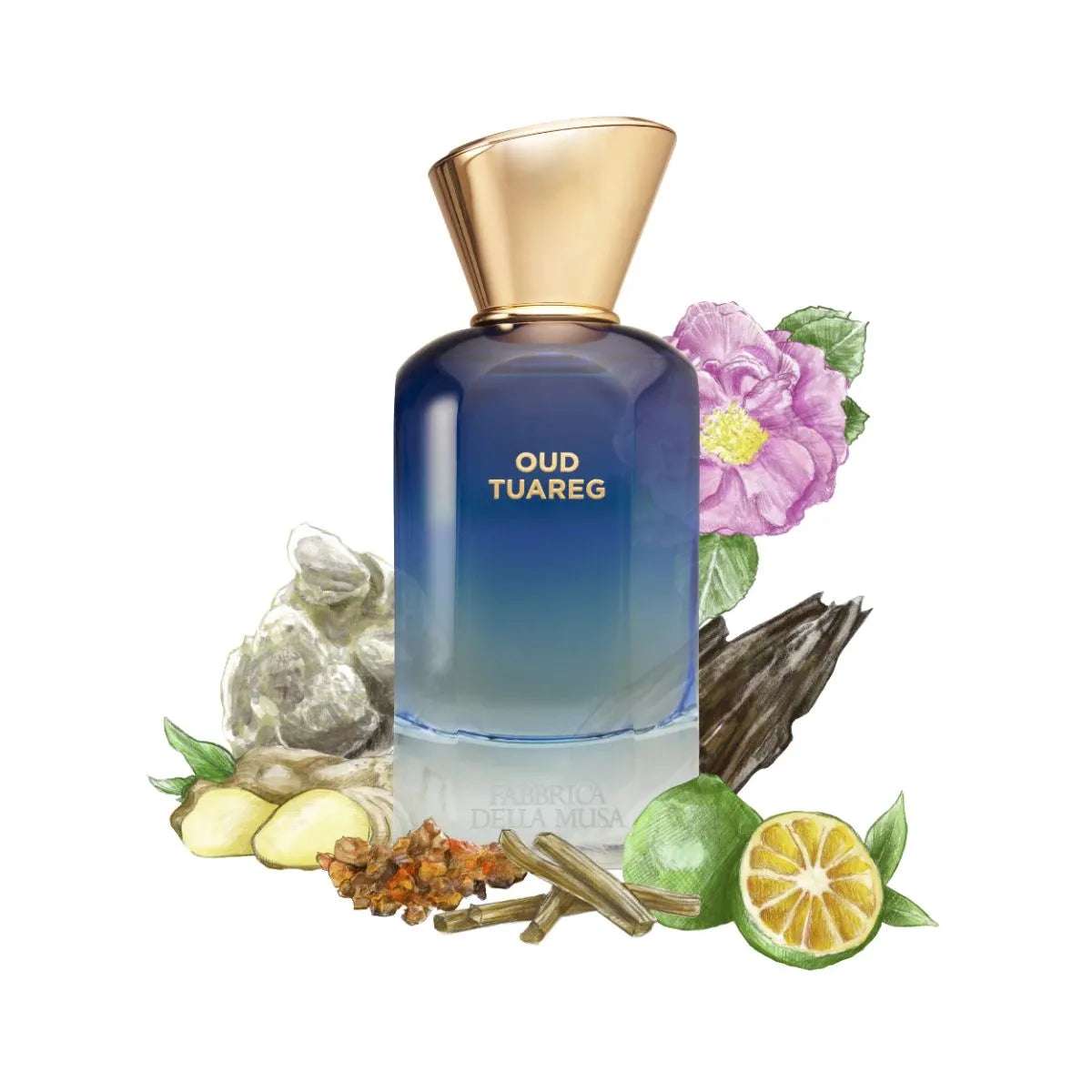Oud Tuareg