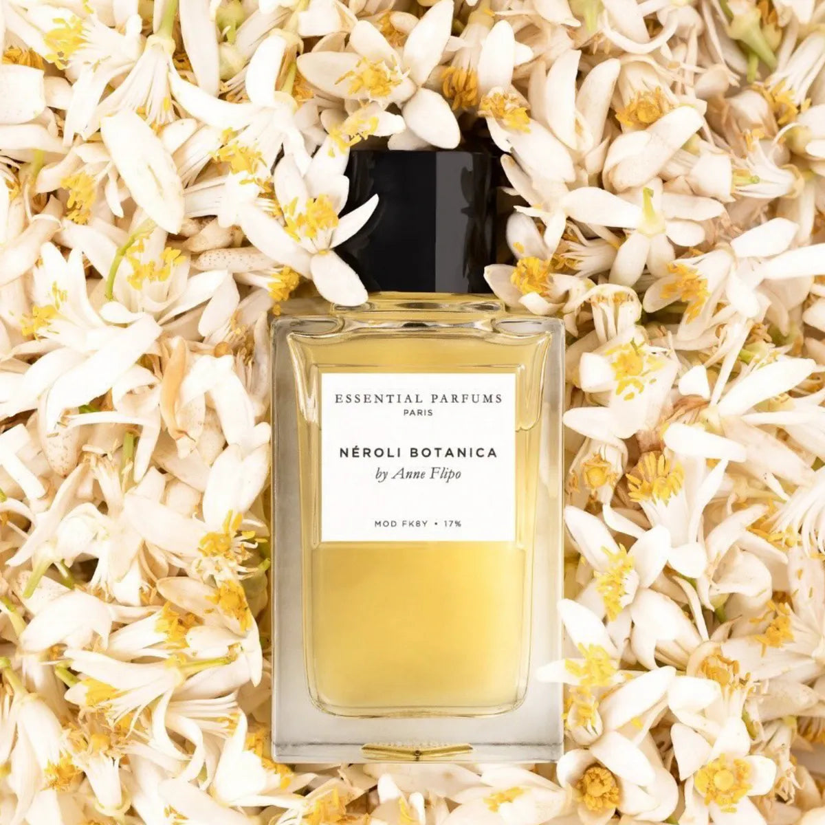 Patchouli Mania by Fabrice Pellegrin