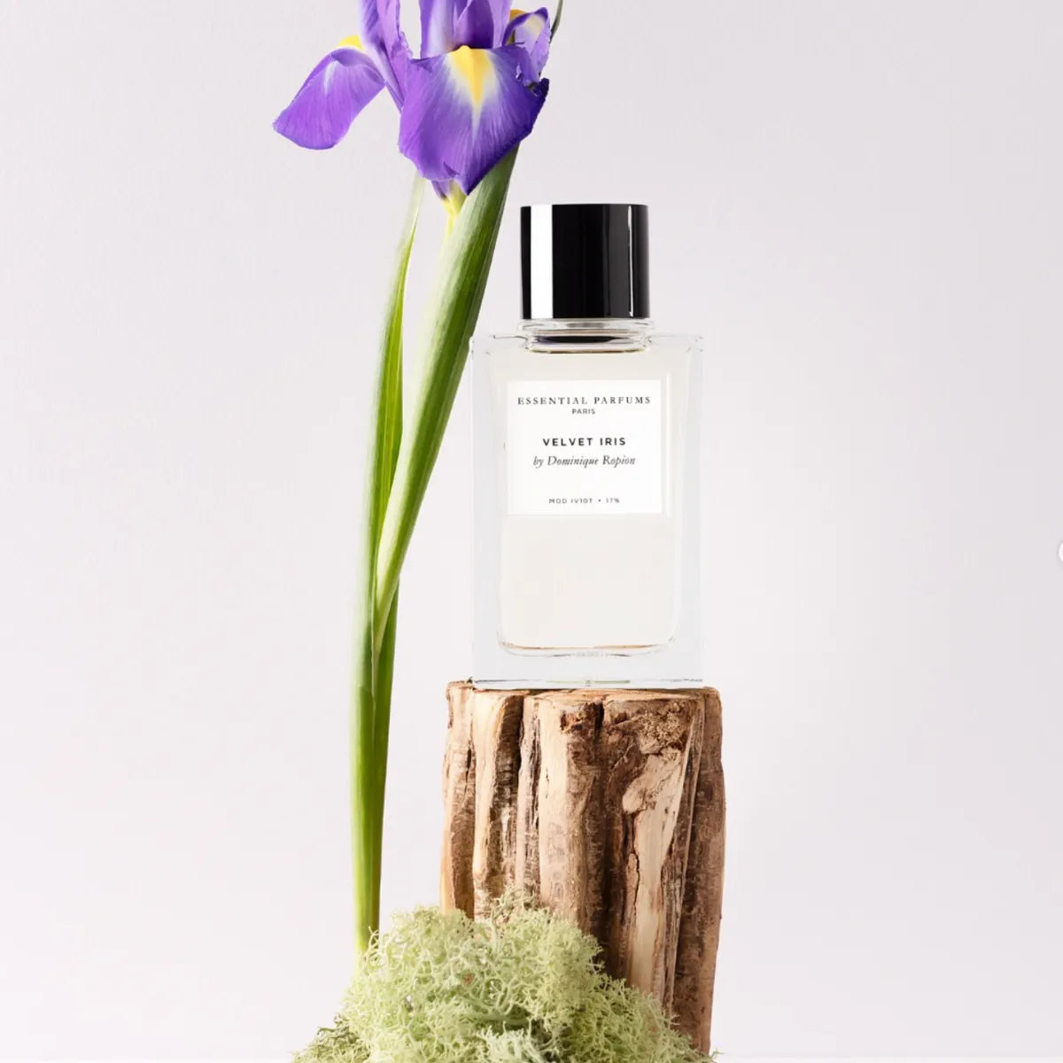 Velvet Iris by Dominique Ropion