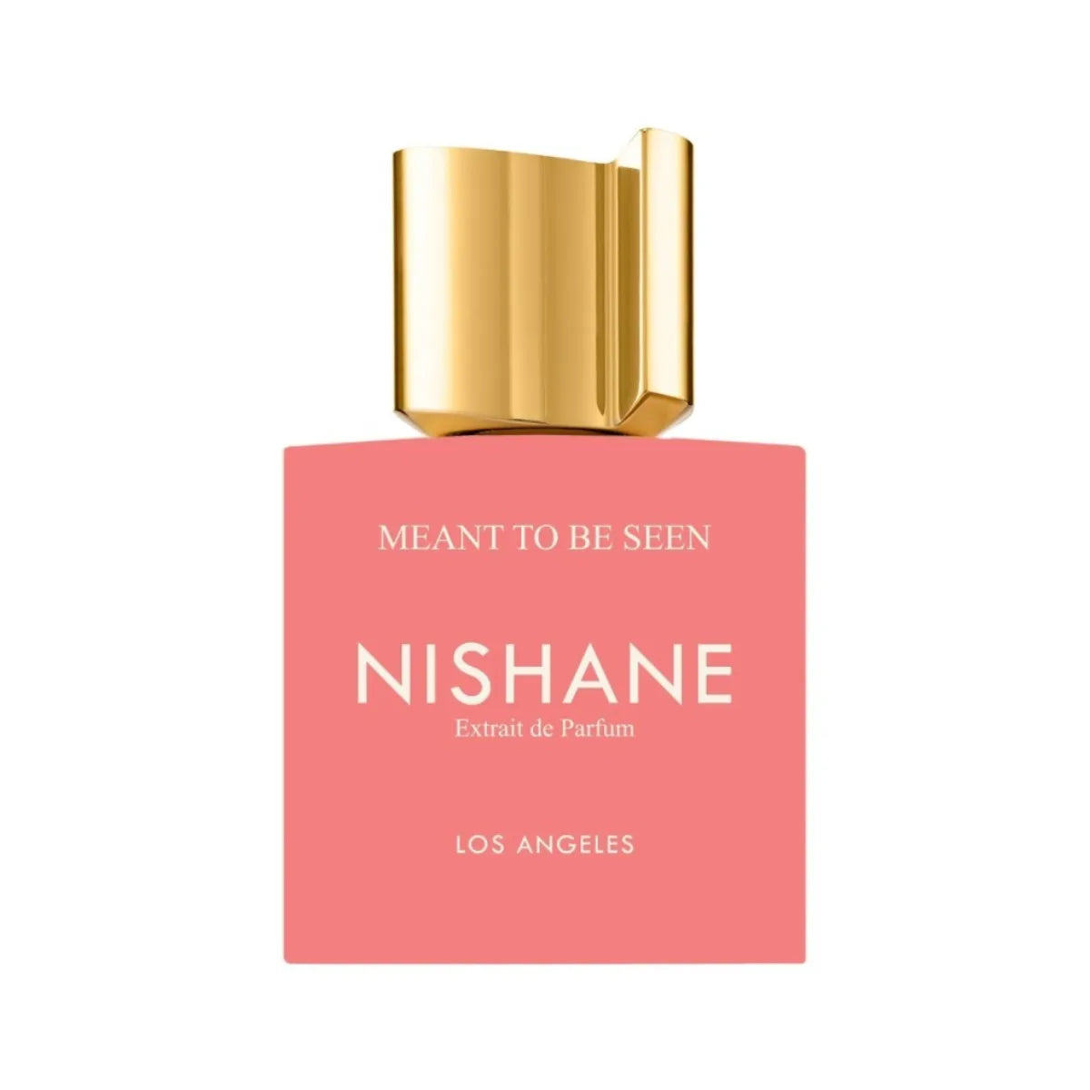 meanttobeseen_1